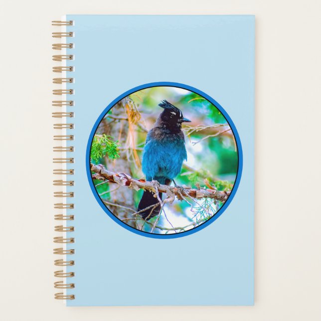 Steller's Jay - Original Photograph Planner (Front)