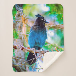 Steller's Jay - Original Photograph Sherpa Blanket