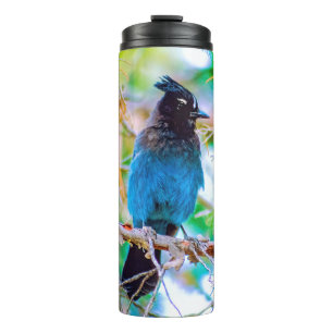 Steller's Jay - Original Photograph Thermal Tumbler