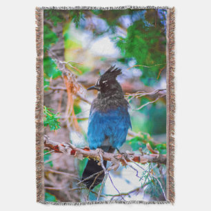 Steller's Jay - Original Photograph Throw Blanket
