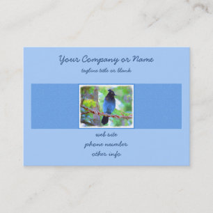 Steller's Jay Painting - Original Bird Art Business Card