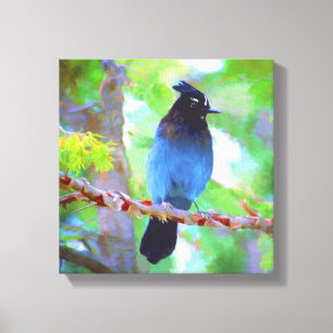 Steller's Jay Painting - Original Bird Art Canvas Print