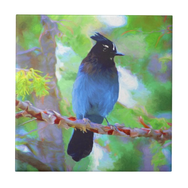 Steller's Jay Painting - Original Bird Art Ceramic Tile (Front)