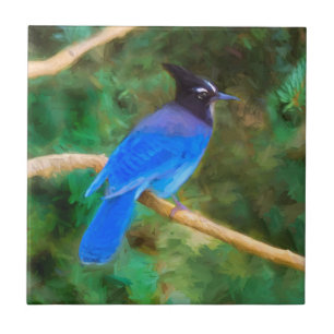 Steller's Jay Painting - Original Bird Art Ceramic Tile