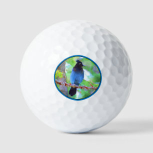 Steller's Jay Painting - Original Bird Art Golf Balls