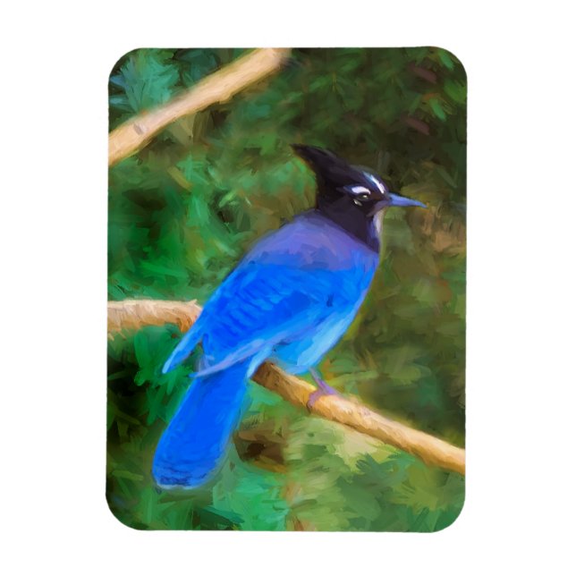 Steller's Jay Painting - Original Bird Art Magnet (Vertical)