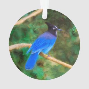 Steller's Jay Painting - Original Bird Art Ornament