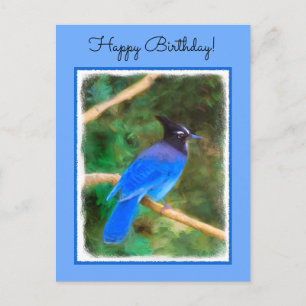 Steller's Jay Painting - Original Bird Art Postcard
