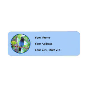 Steller's Jay Painting - Original Bird Art Return Address Label