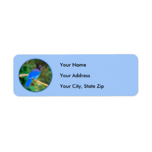 Steller's Jay Painting - Original Bird Art Return Address Label