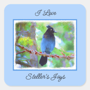 Steller's Jay Painting - Original Bird Art Square Sticker