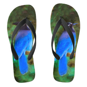 Steller's Jay Painting - Original Bird Art Thongs