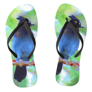 Steller's Jay Painting - Original Bird Art Thongs