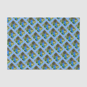 Steller's Jay Painting - Original Bird Art Tissue Paper