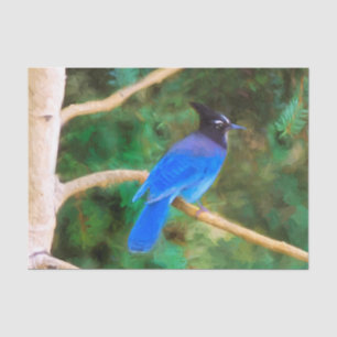 Steller's Jay Painting - Original Bird Art Tissue Paper