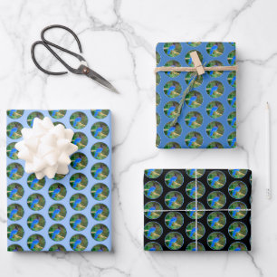 Steller's Jay Painting - Original Bird Art Wrapping Paper Sheet