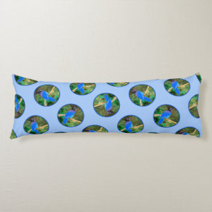 Steller's Jay Painting Original Wild Bird Art Body Cushion