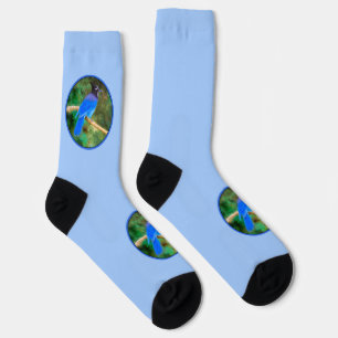 Steller's Jay Painting - Original Wild Bird Art Socks