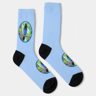 Steller's Jay Painting - Original Wild Bird Art Socks