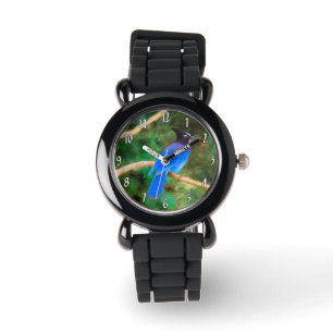 Steller's Jay Painting - Original Wild Bird Art Watch