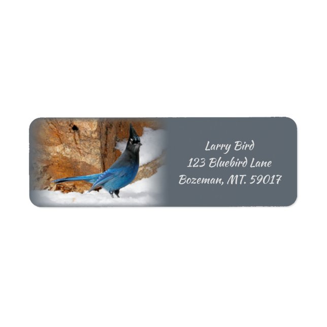 Steller's Jay Return Address Label (Front)