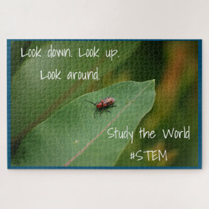 STEM insect leaf nature Jigsaw Puzzle