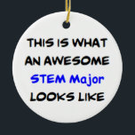 stem major, awesome ceramic ornament<br><div class="desc">stem major</div>