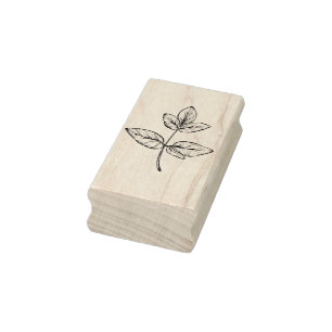 Stem of Ivy Leaves Art Stamp