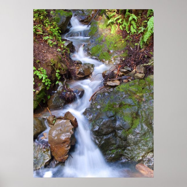 Step fall poster (Front)