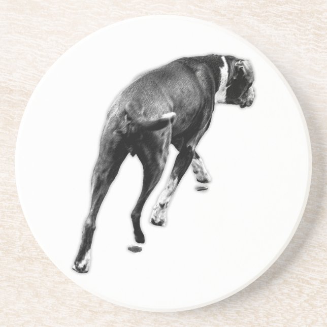 Step Freeze – Compact Monochrome Coaster (Front)