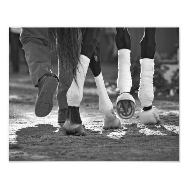 Step Nicely Photo Print (Front)