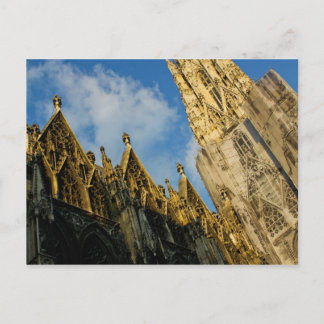 Stephansdom Postcard