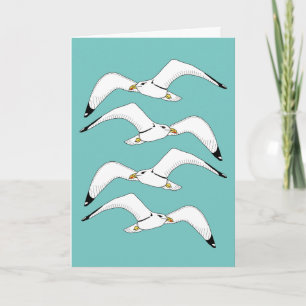 Stephen the seagull card