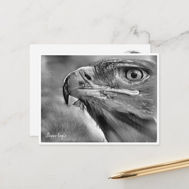 Steppe Eagle Postcard (Front/Back In Situ)