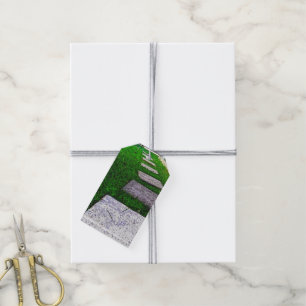 Stepping Stones by Shirley Taylor Gift Tags