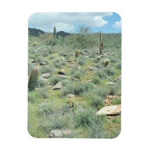 Stepping Stones Decorative Western Desert Magnet