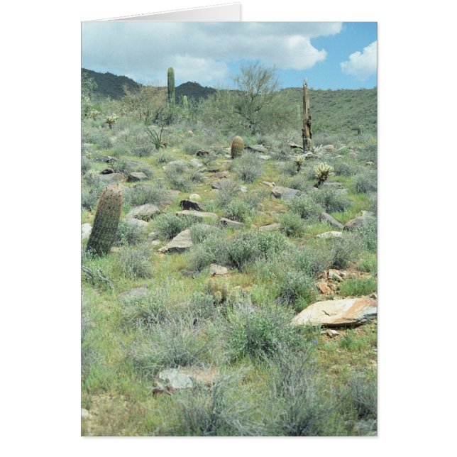 Stepping Stones Desert Greeting Card or Note Card (Front)