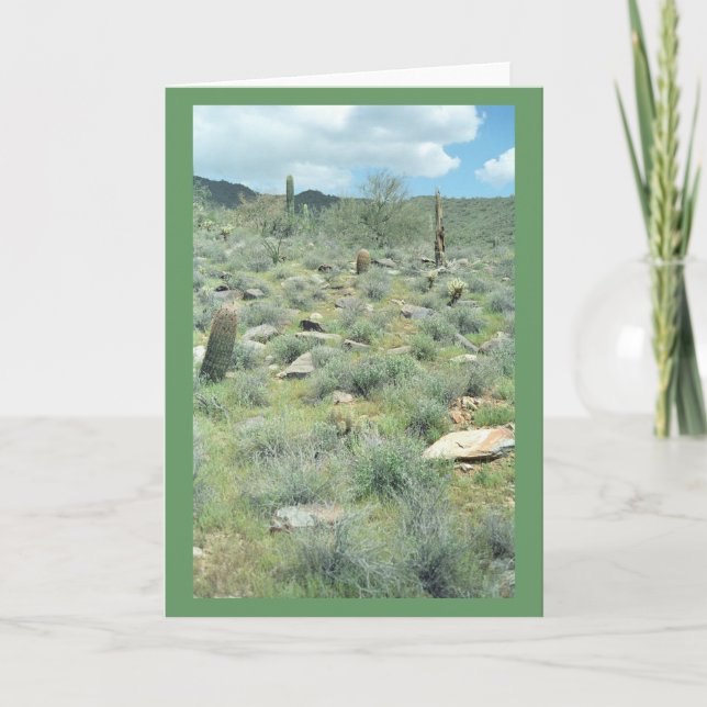Stepping Stones Desert Greeting Card or Note Card (Front)
