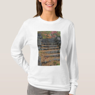 Steps covered in pine needles, White Mountain T-Shirt