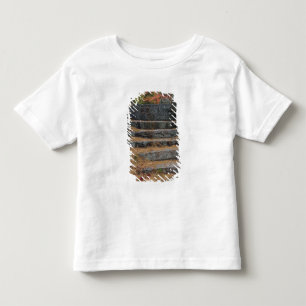 Steps covered in pine needles, White Mountain Toddler T-Shirt