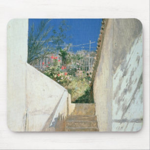 Steps in a Garden, Algeria, 1883 Mouse Pad