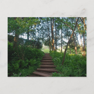 Steps on a Nature Walk Postcard