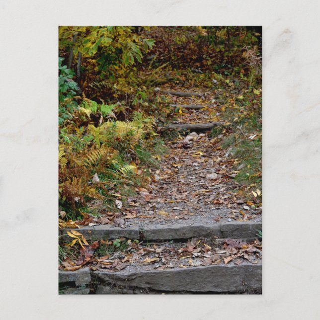 Steps to the Applaachian Trail Postcard (Front)