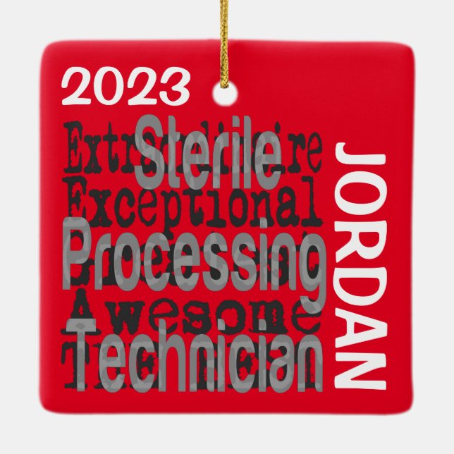 Sterile Processing Technician Extraordinaire Ceramic Ornament (Back)