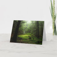 Sterious Forest