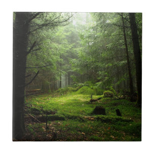 Sterious Forest Ceramic Tile