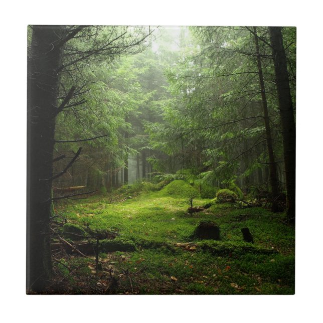 Sterious Forest Ceramic Tile (Front)