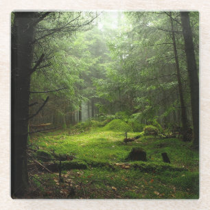 Sterious Forest Glass Coaster