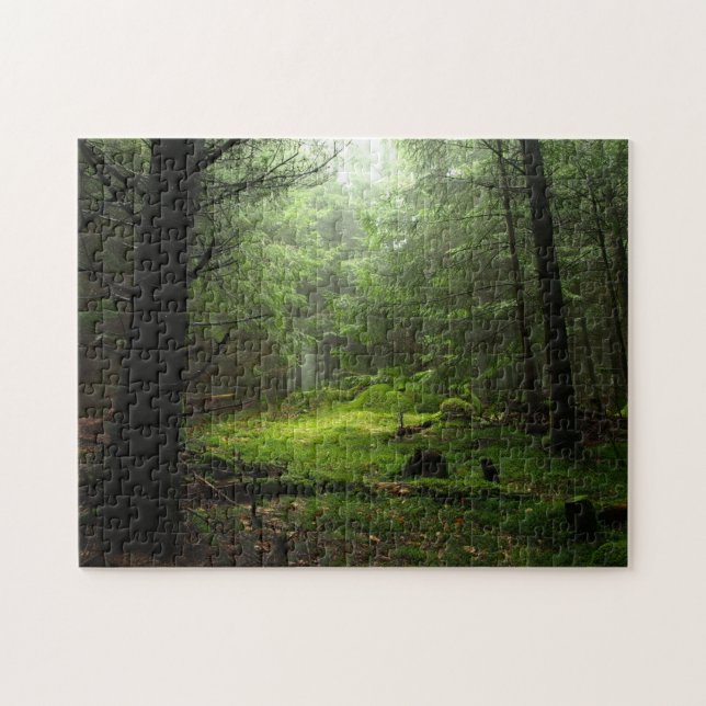 Sterious Forest Jigsaw Puzzle (Horizontal)