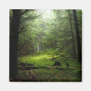 Sterious Forest Magnet